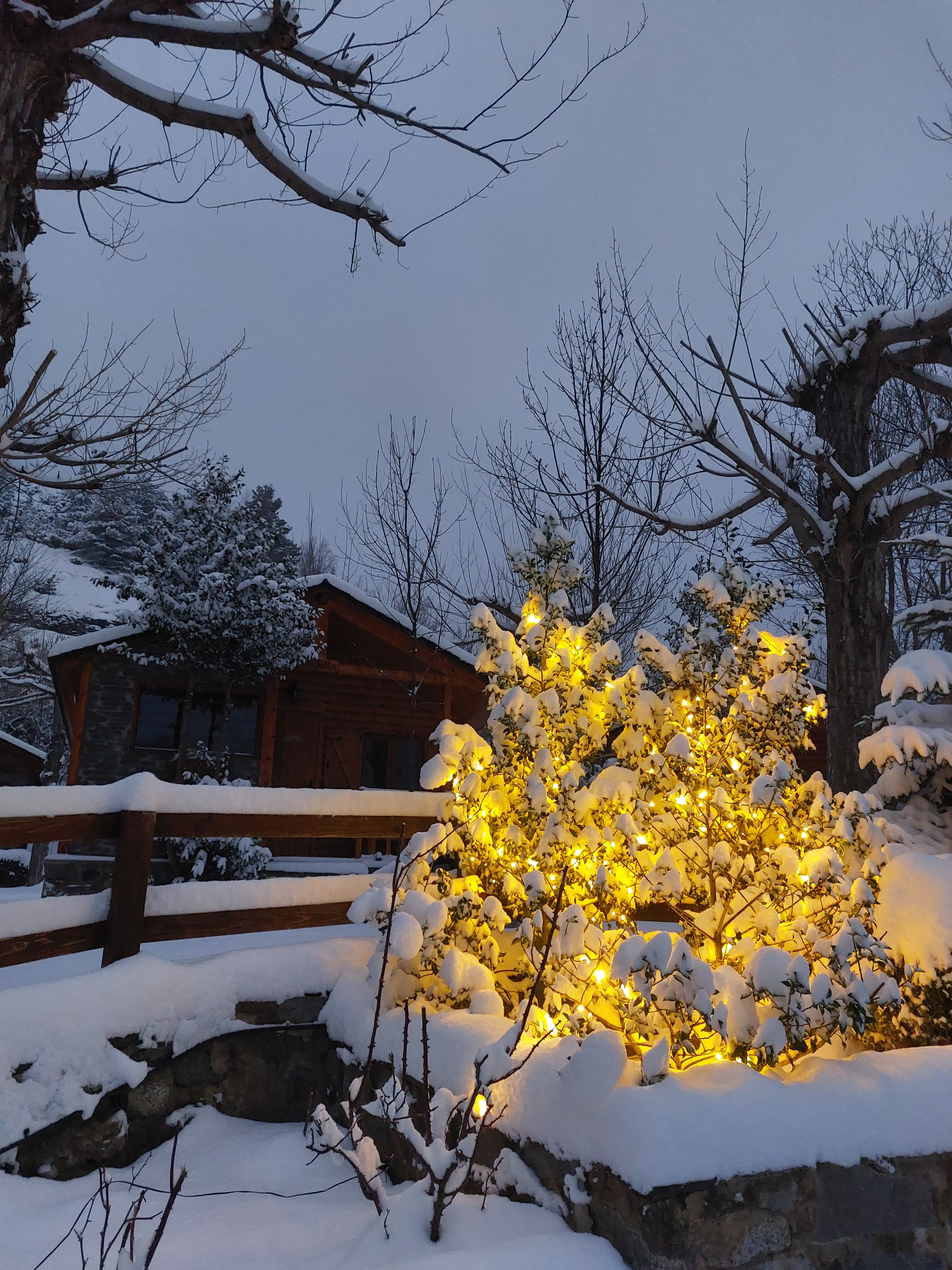 Luces de invierno